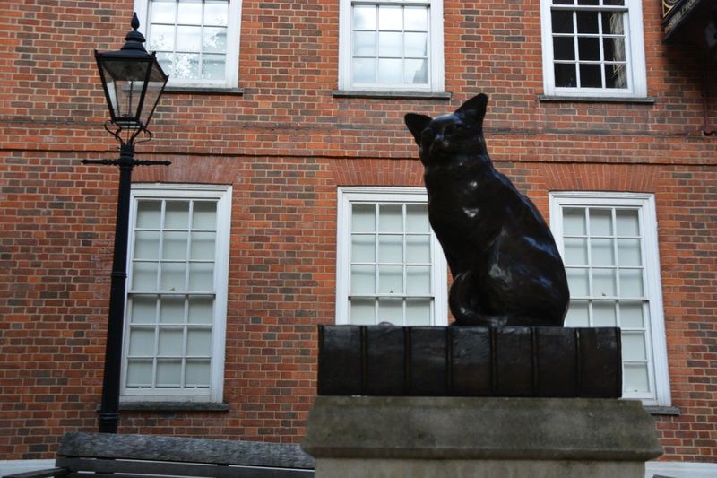 Samuel Johnson’s Cat – Hodge