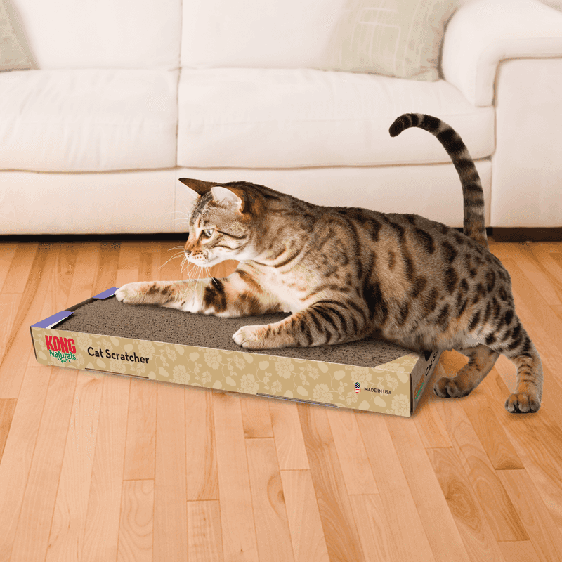 Scratch Pads with Catnip