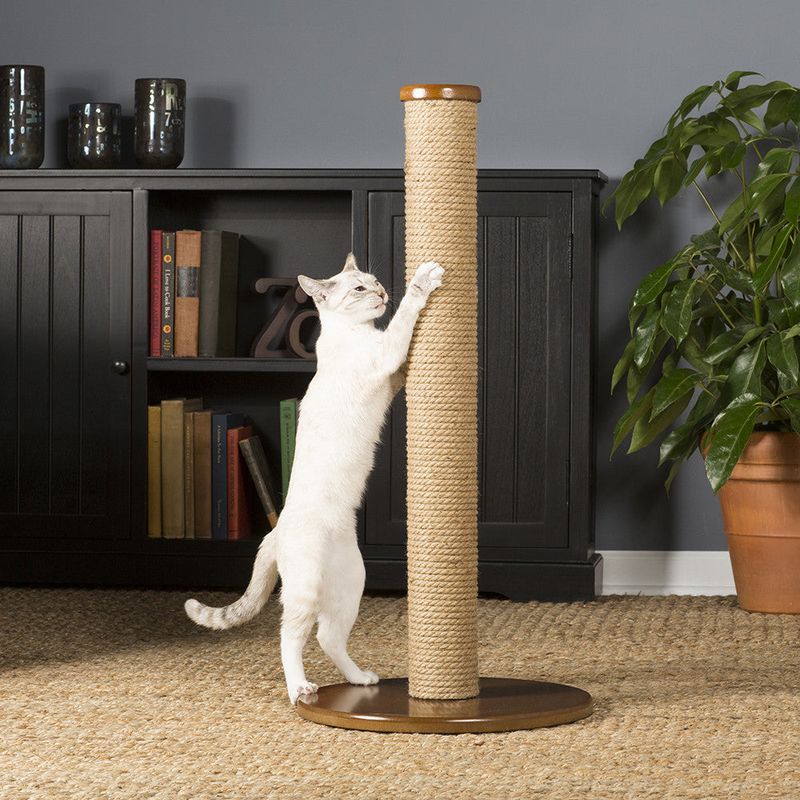 Scratching Posts