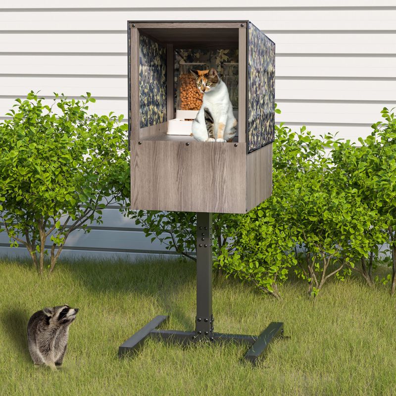 Set Up a Feeding Station