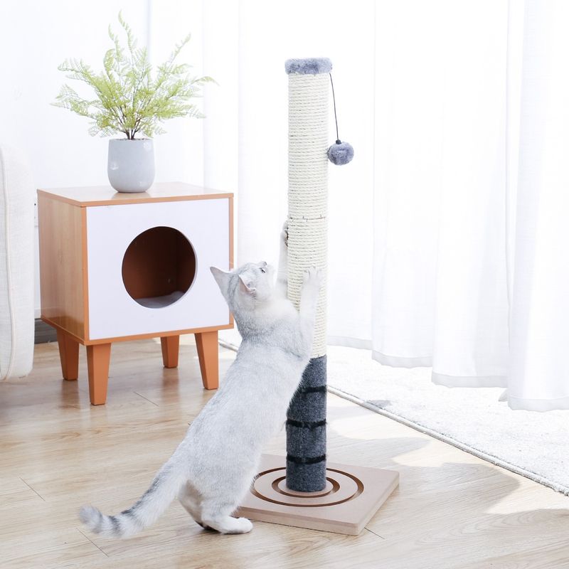 Set Up a Scratching Post