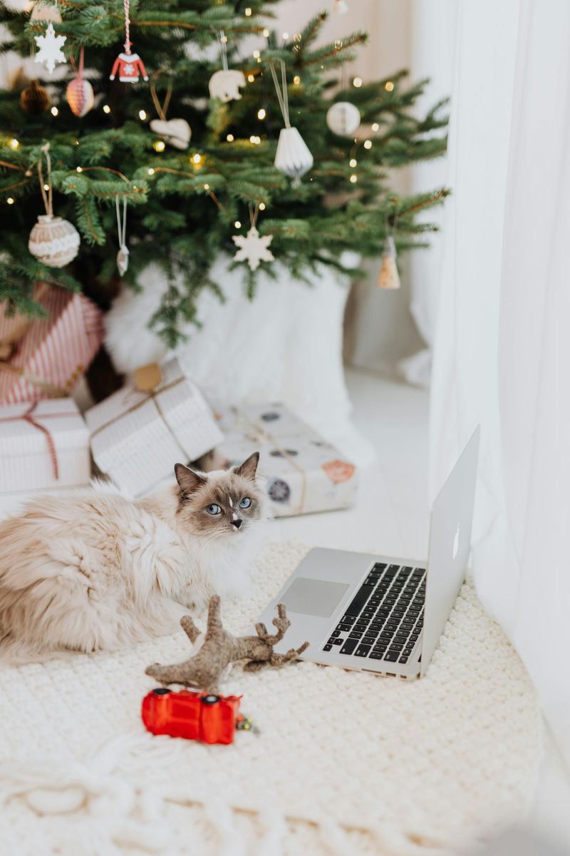 Sitting on Your Work or Laptop