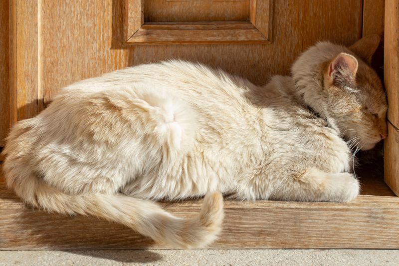 Sleeping with Their Head Pressed Against a Wall