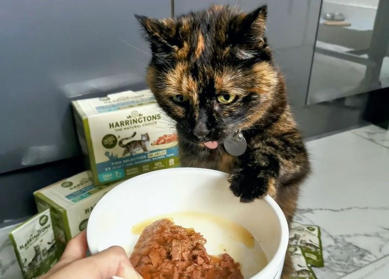 Smaller, Frequent Meals