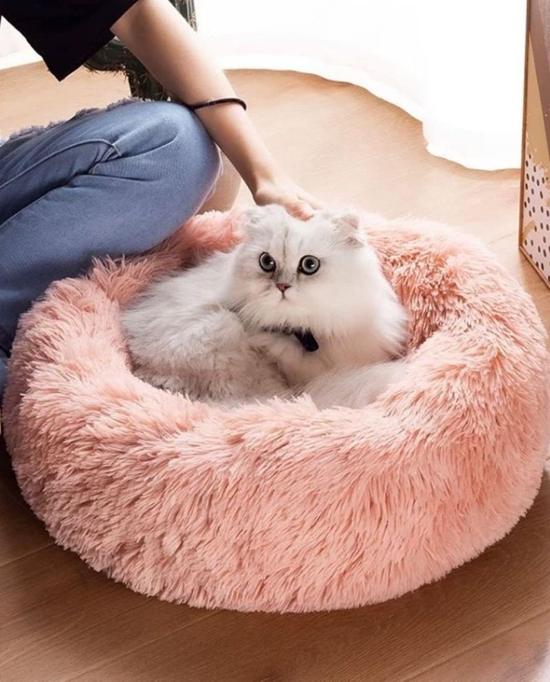 Soft Plush Cuddle Beds