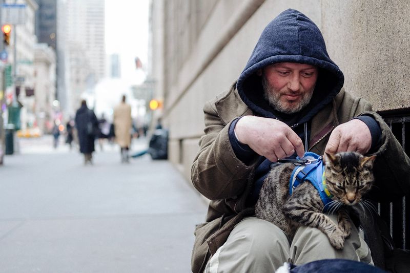 Stray Cat Saves a Homeless Man from Hypothermia