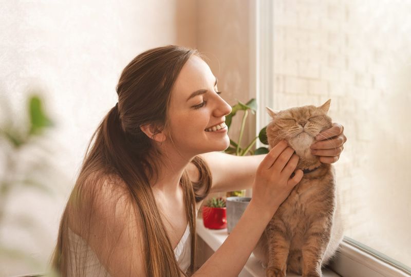 Talk to Your Cat