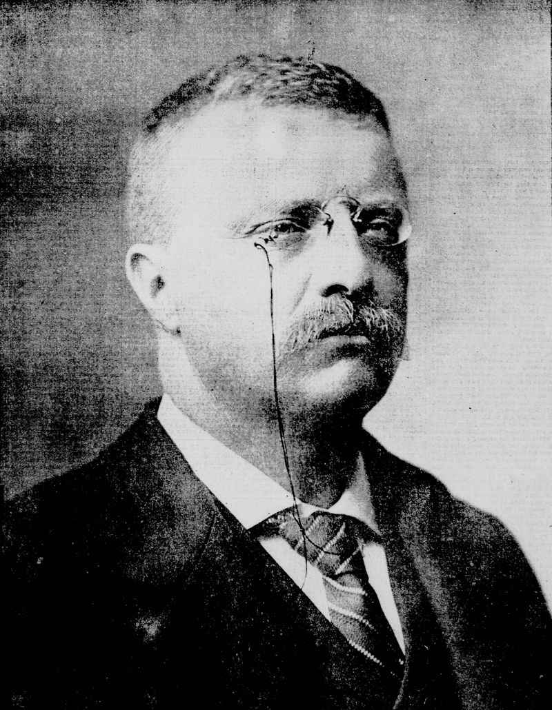 Theodore Roosevelt’s Cat – Slippers