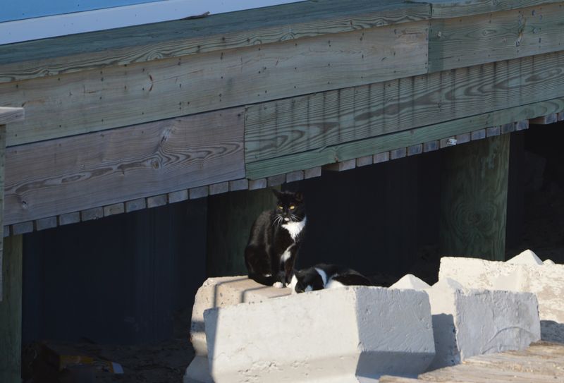 Underneath a Bridge