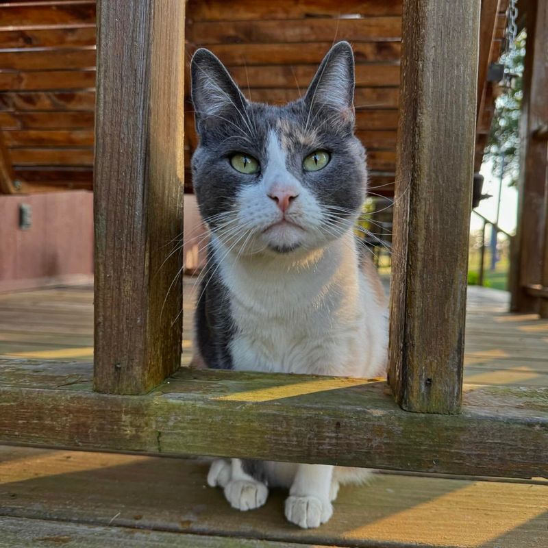 Underneath a porch