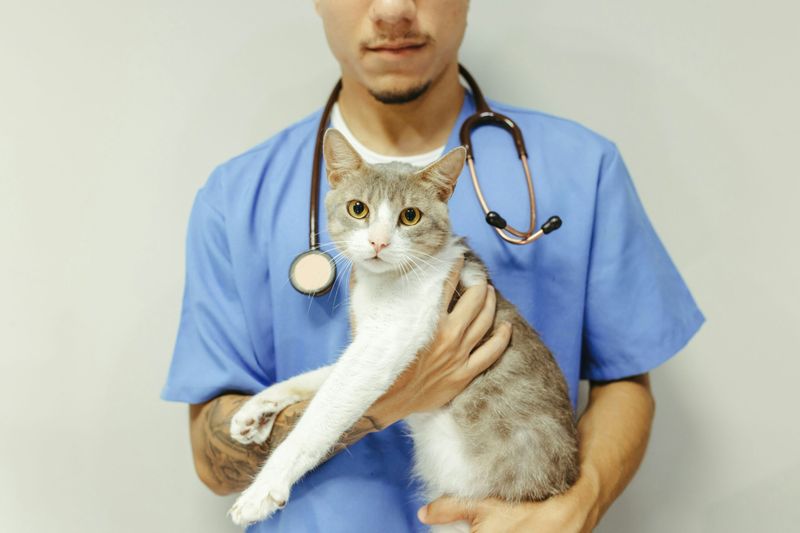 Vet Visits Are More Common