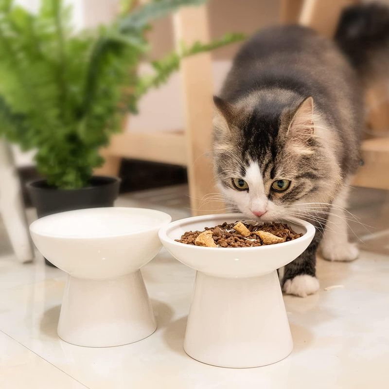 Whisker Stress-Free Bowls