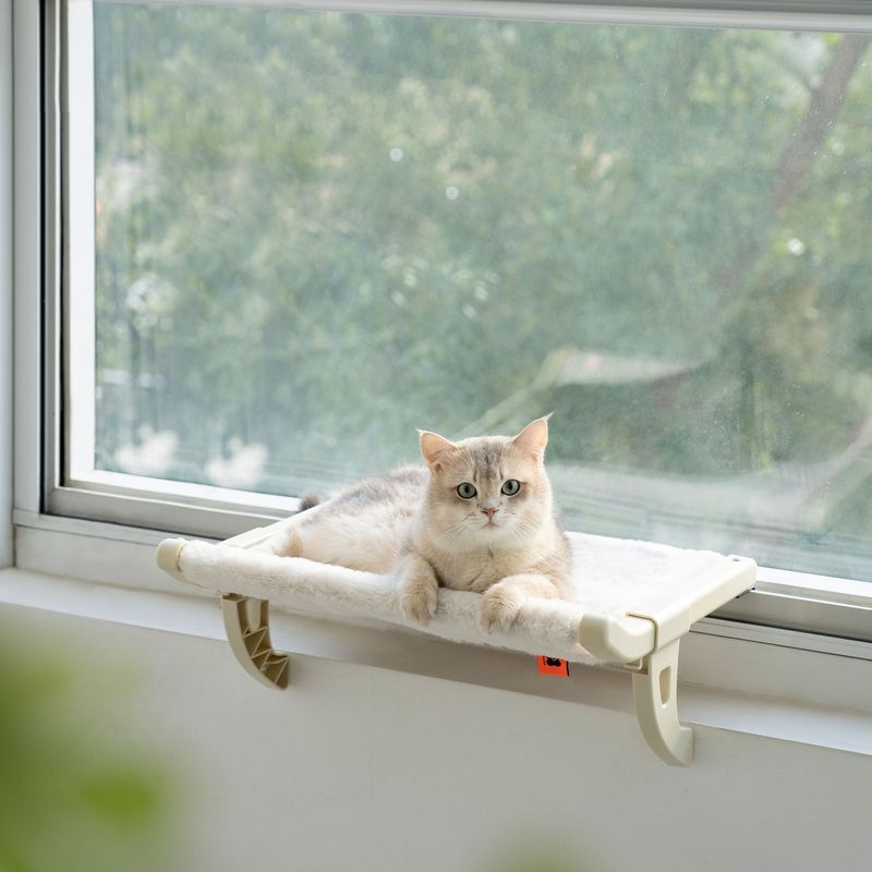 Window Perch