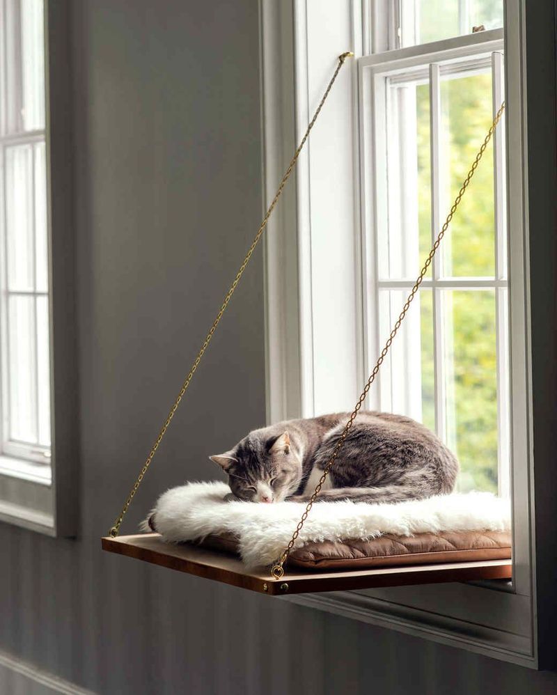 Window Perches vs. Enclosed Beds