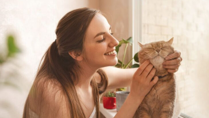 How to Get Your Cat to Cuddle – 15 Proven and Delightful Ways to Win Their Affection