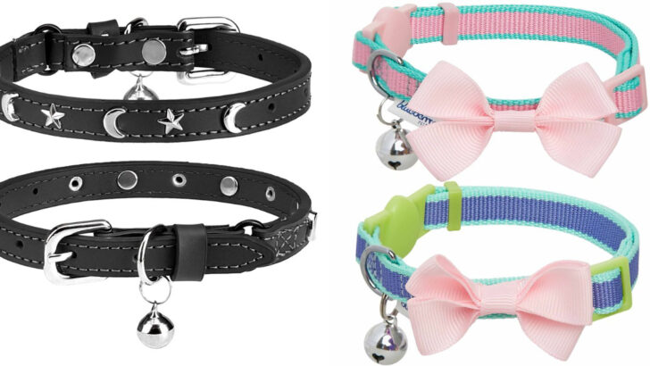 9 Safe and Stylish Cat Collar Bells Your Pet Will Love