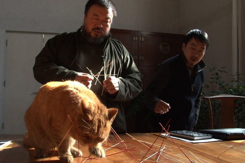 Ai Weiwei – Cat Grass (2015)