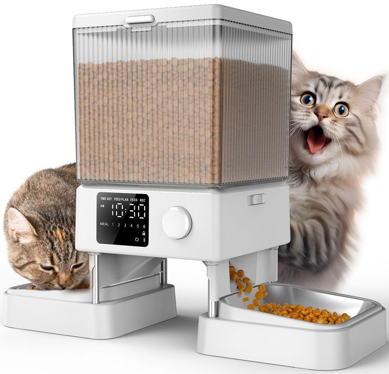 Automatic Cat Feeder