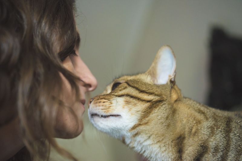 Brushing Against Your Face