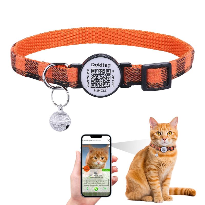 Cat Collar with ID Tag