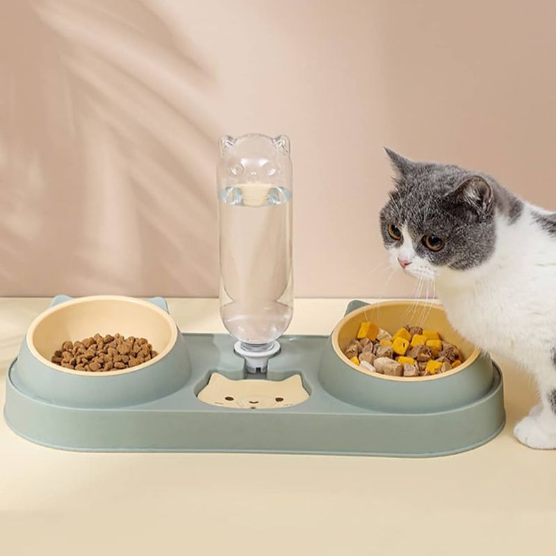 Cat Food and Water Bowls