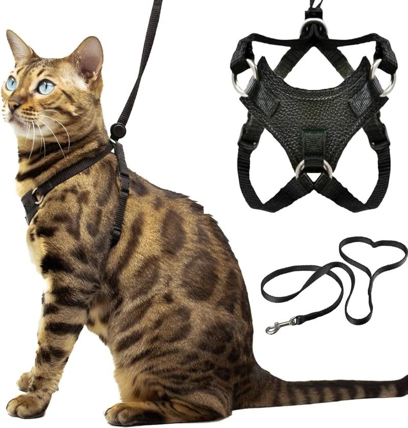 Cat Harness and Leash