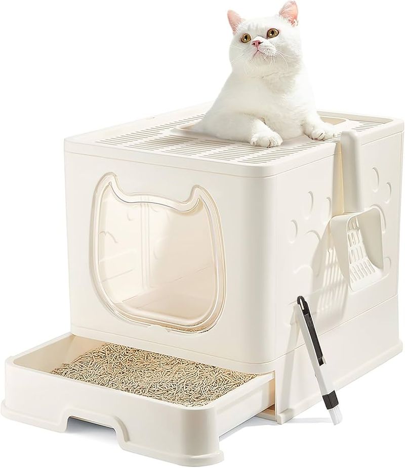 Cat Litter Box