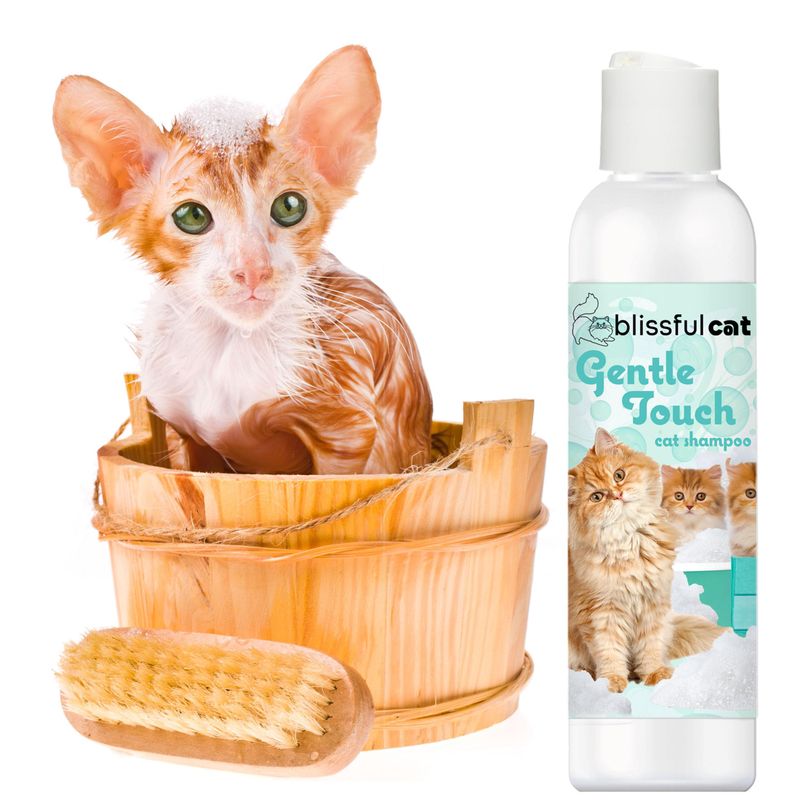 Cat Shampoo and Conditioner