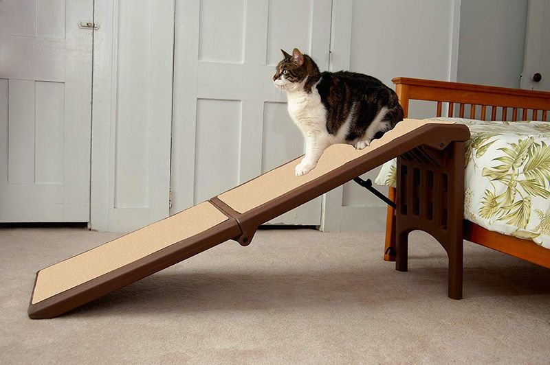Cat Stairs or Ramp