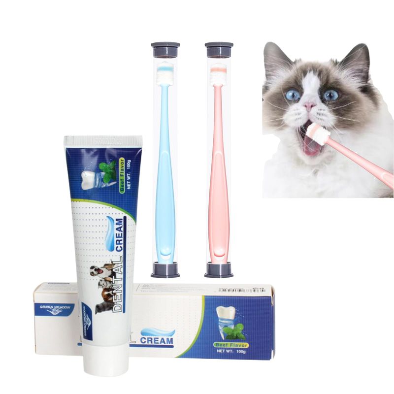 Cat Toothbrush and Toothpaste