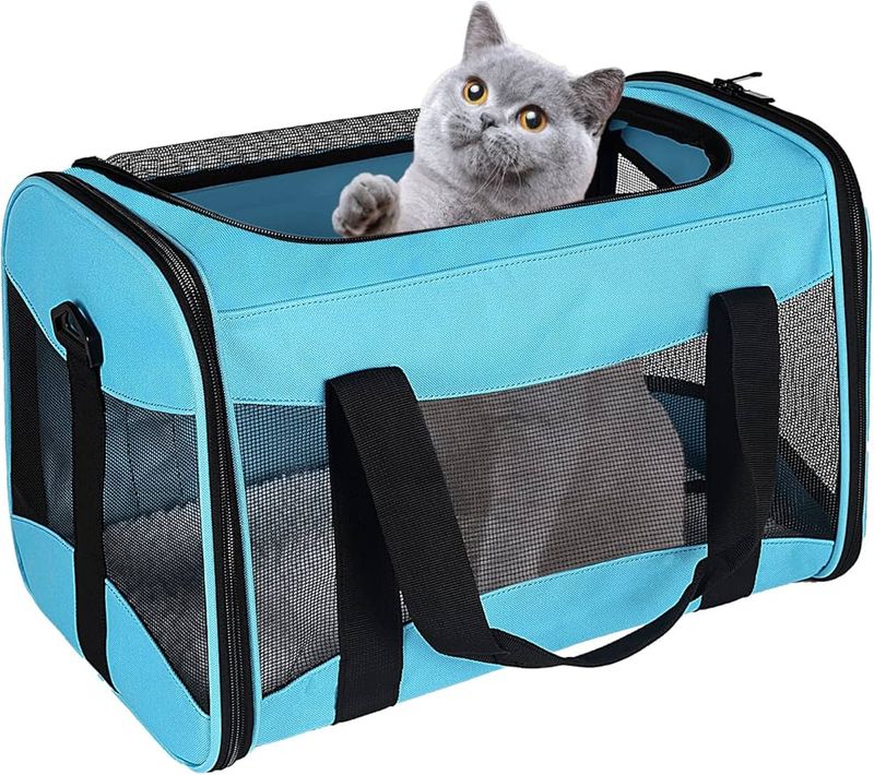 Cat Travel Bag