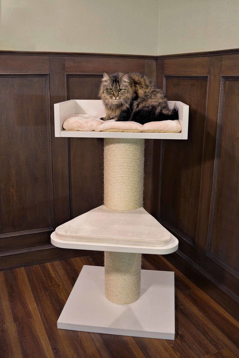 Cat Tree with Hanging Toys