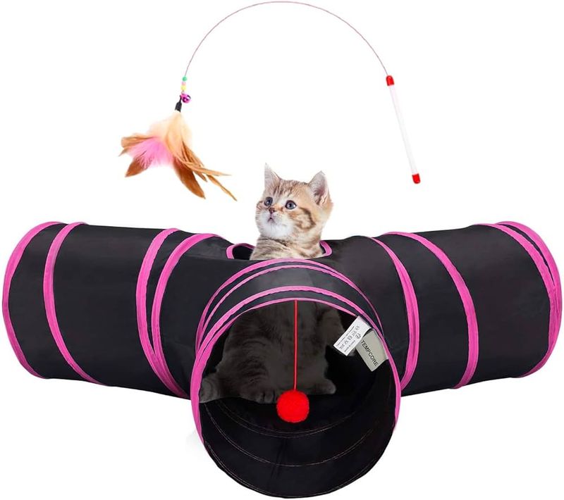 Cat Tunnel