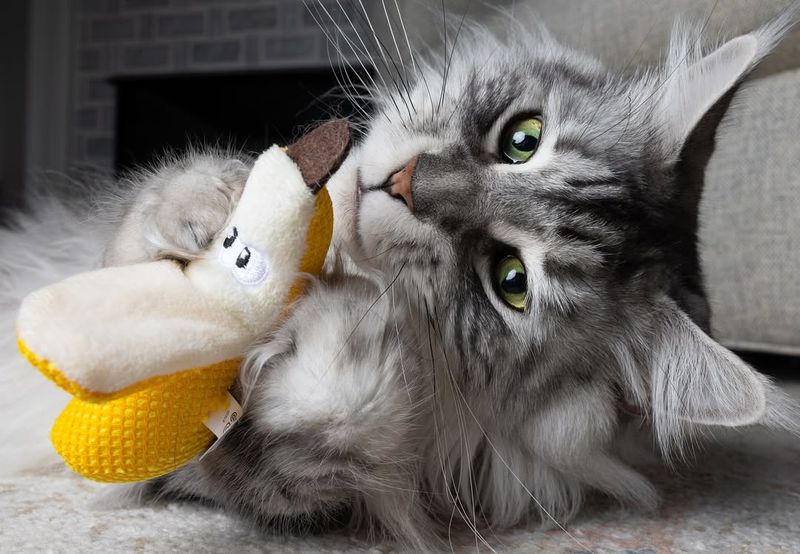 Catnip-Stuffed Plush Toy