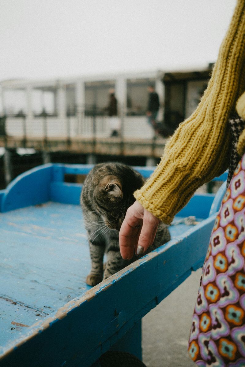 Claw-Contact During Petting