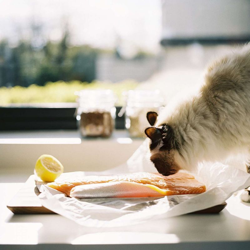 Cooked Fish
