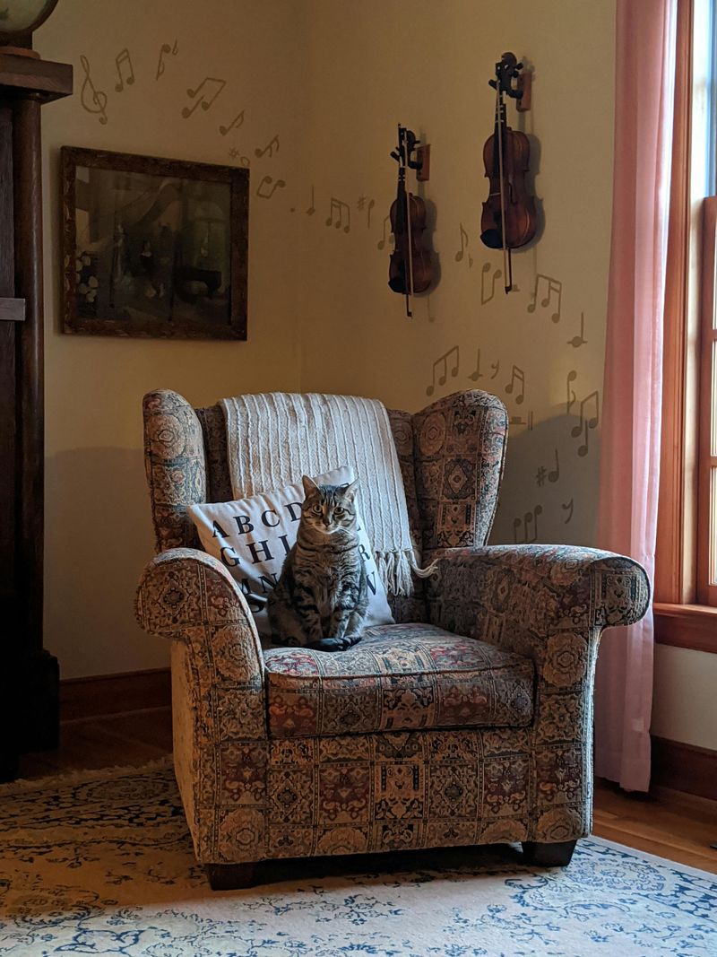 Create a Cat-Proof Sleep Zone