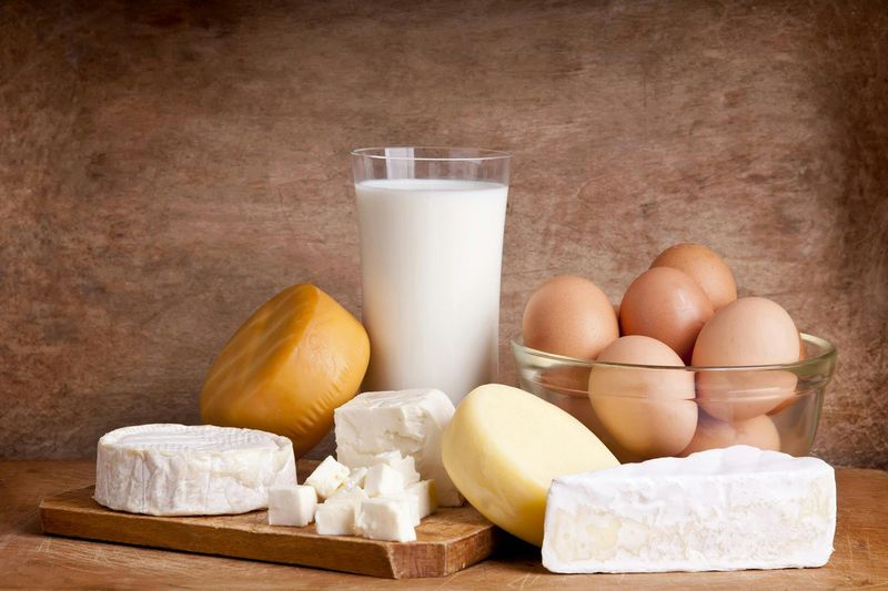 Dairy Can Cause Allergies in Cats