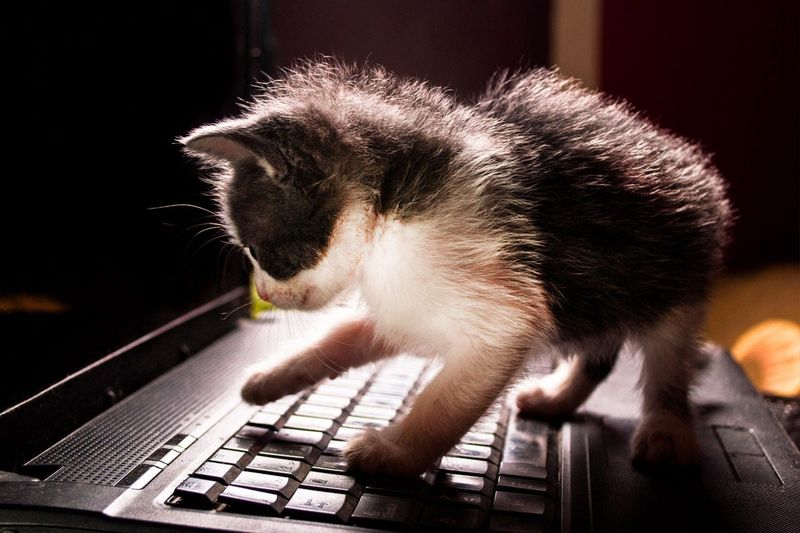 Data-Driven Outreach Strategies