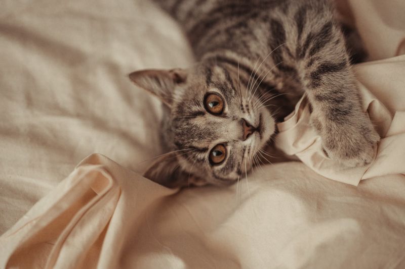 Early Morning Wake-Up