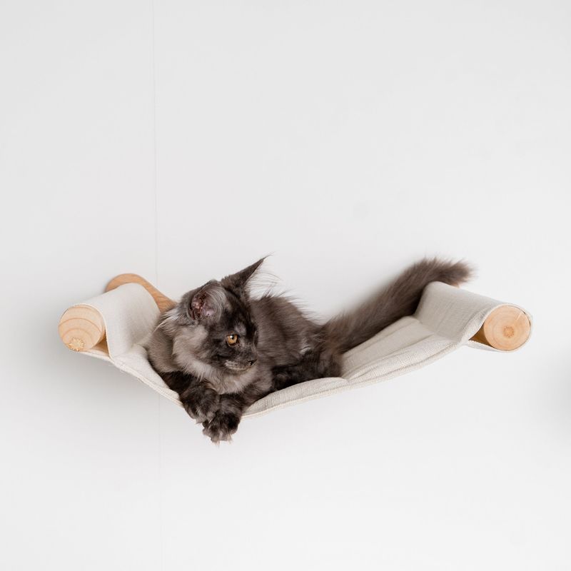 Elevate Their Bed