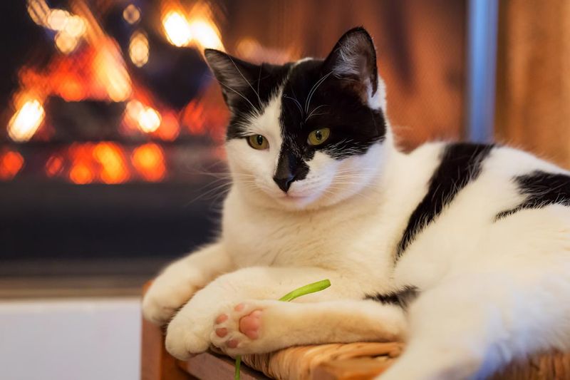Eliminate Fire Hazards