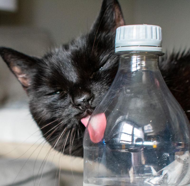 Freeze a Water Bottle