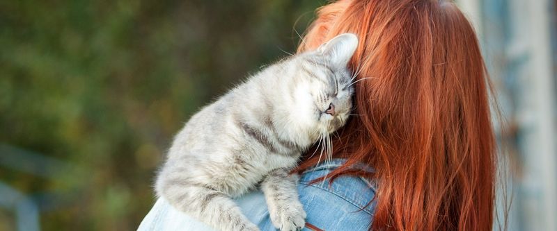 15 Hidden Ways Cats Say I Love You That You Never Noticed