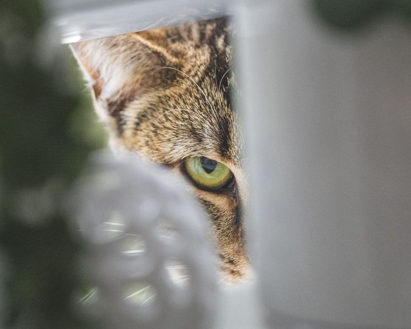 Hiding More Frequently