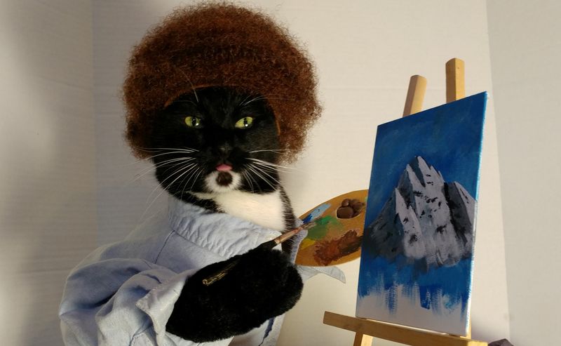 Hop on Viral Trends—Cat Style