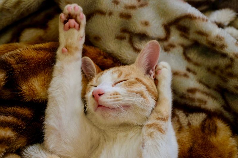 Increased Sleeping