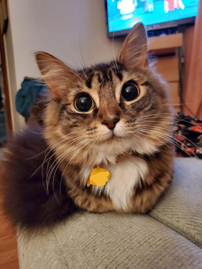 Intense Staring