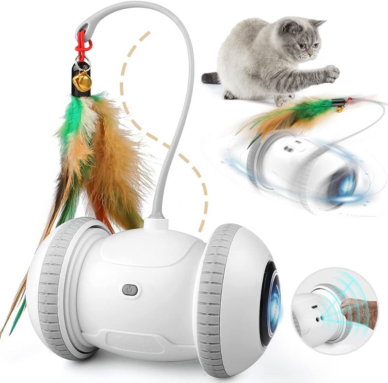 Interactive Cat Toys