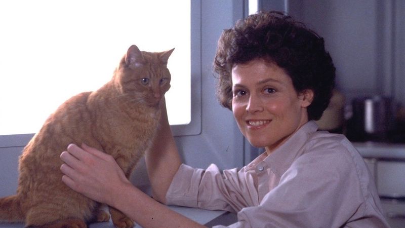 Jonesy from Alien (1979)